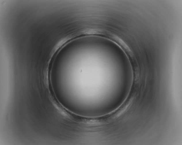 X0000113240986200909101405