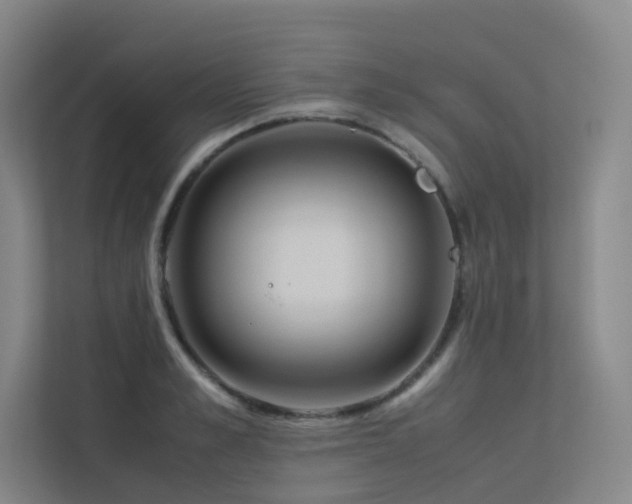 X0000113240989200909101405