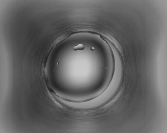 X0000113240993200909101405