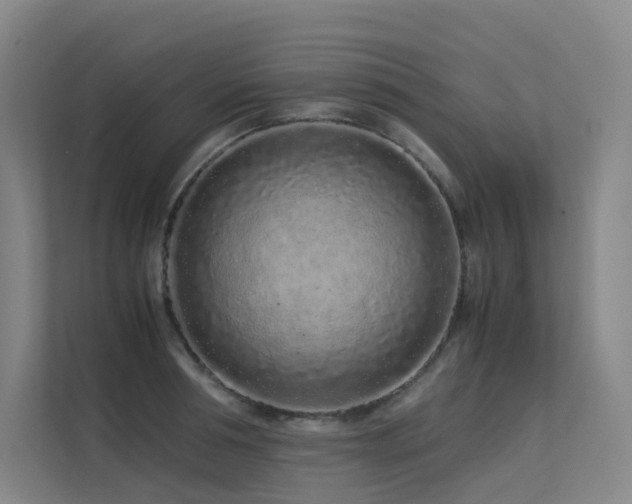 X0000113240994200909101405