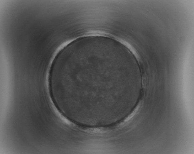 X0000113240995200909101405