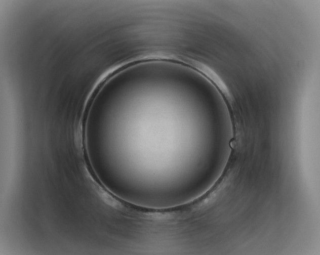 X0000113240996200909101405