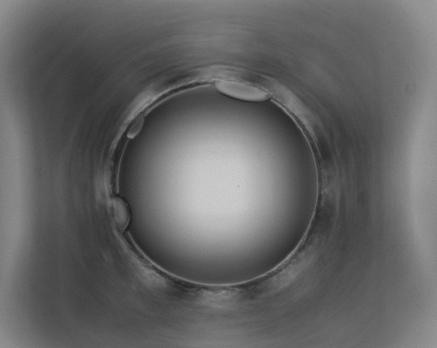 X0000113240997200909101404