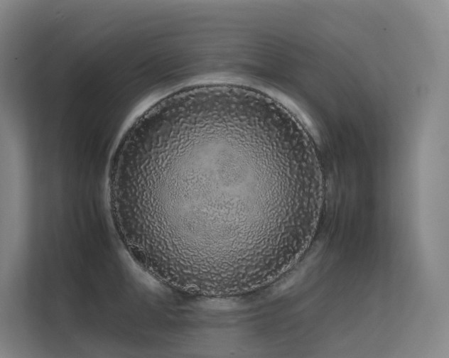 X0000113240998200909101404