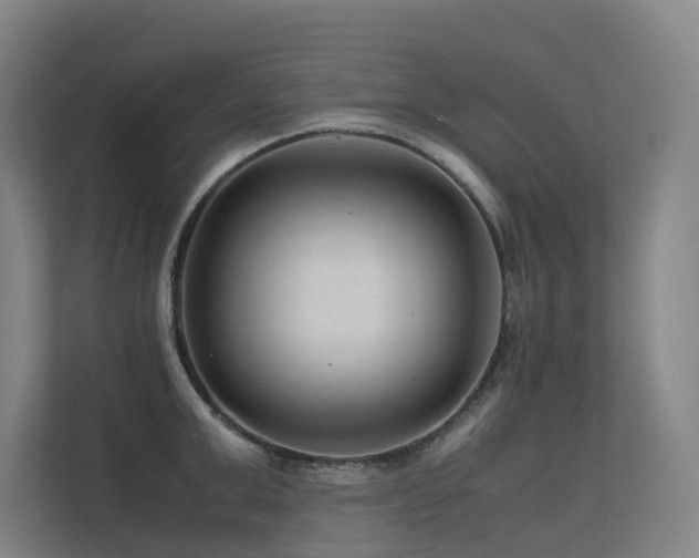 X0000113240999200909101404