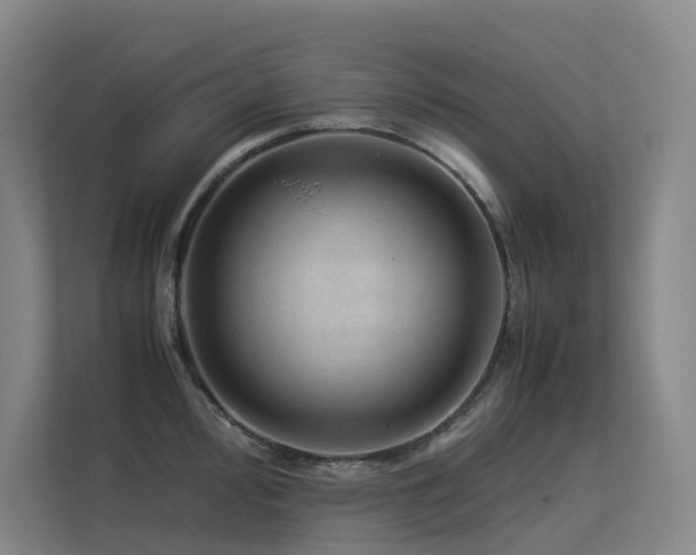 X0000113241000200909101404