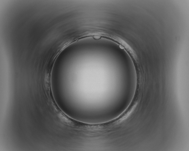 X0000113241001200909101404