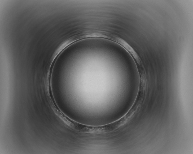 X0000113241002200909101404