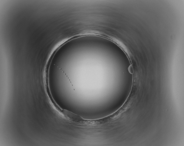 X0000113241003200909101404