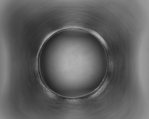 X0000113241004200909101404