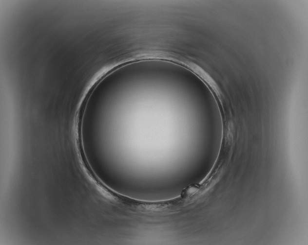 X0000113241005200909101404