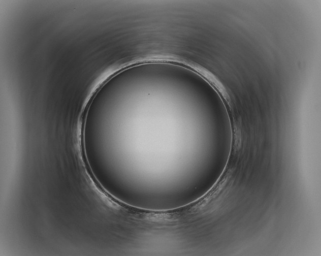 X0000113241006200909101404