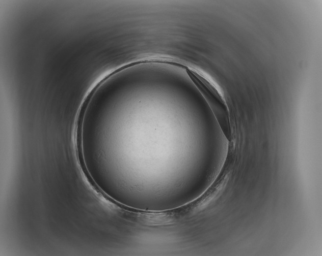 X0000113241007200909101404