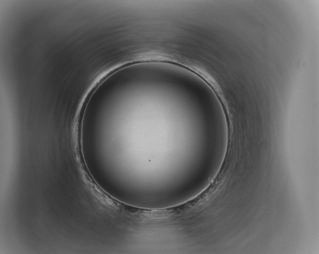 X0000113241008200909101404