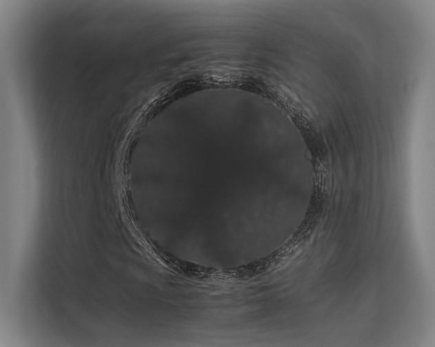 X0000113241009200909101404