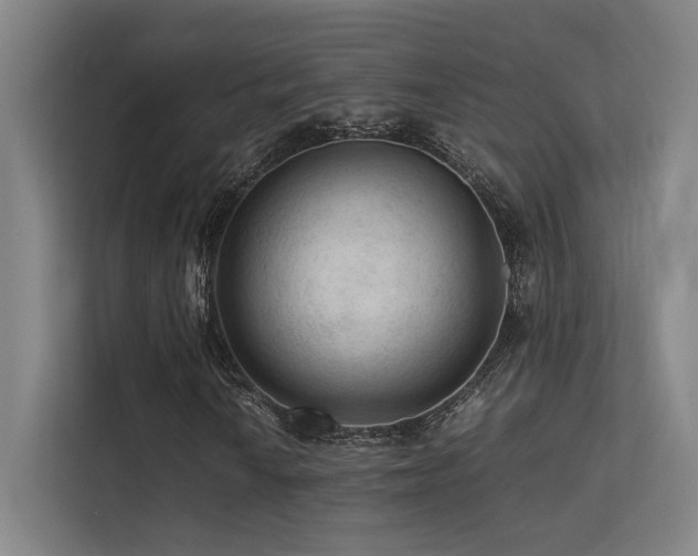 X0000113241010200909101404