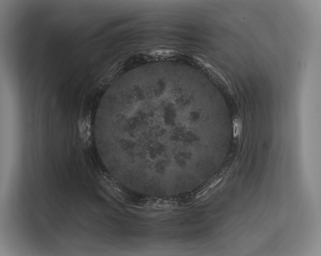 X0000113241011200909101404