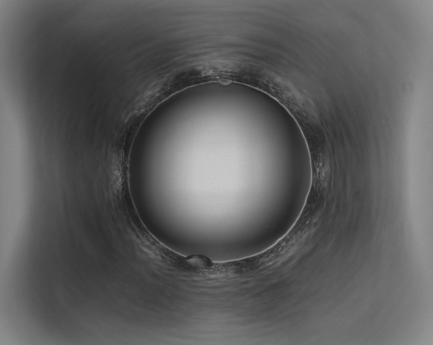 X0000113241012200909101404