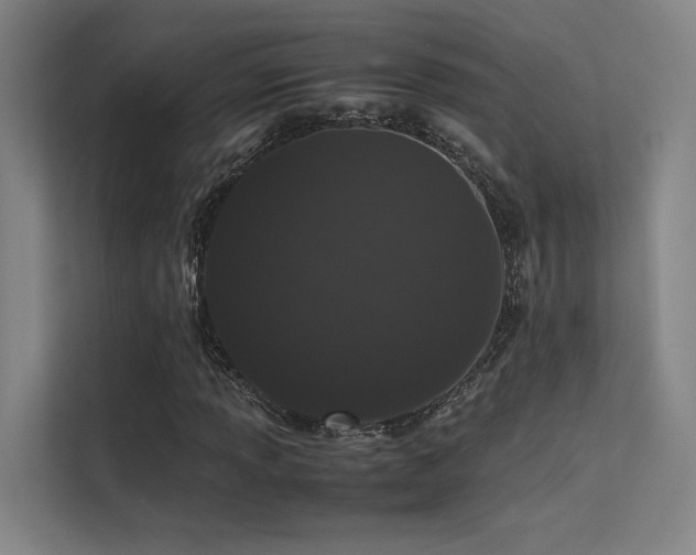 X0000113241013200909101404