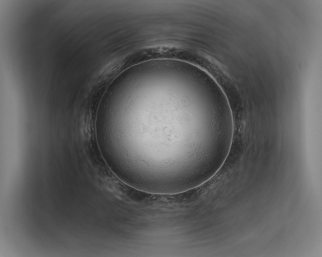 X0000113241014200909101404