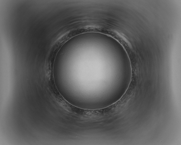 X0000113241015200909101404