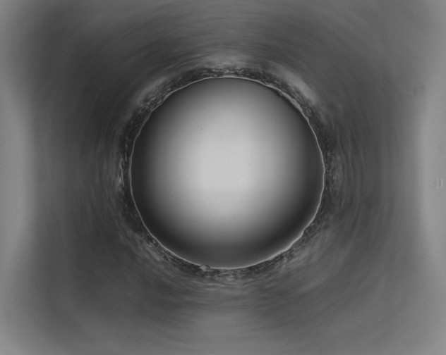 X0000113241016200909101404