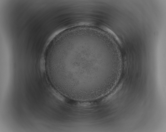 X0000113241019200909101404