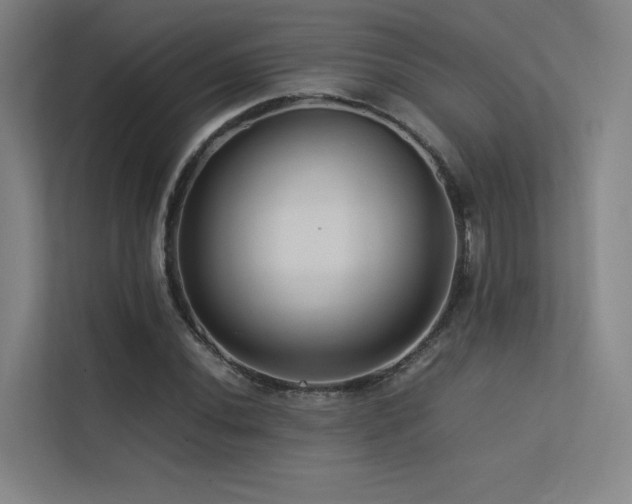 X0000113241020200909101404