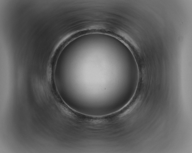 X0000113241021200909101404