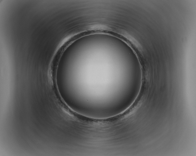 X0000113241022200909101404