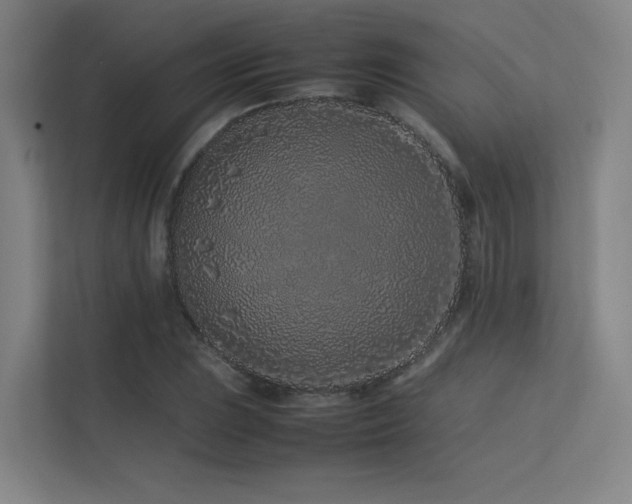 X0000113241023200909101404