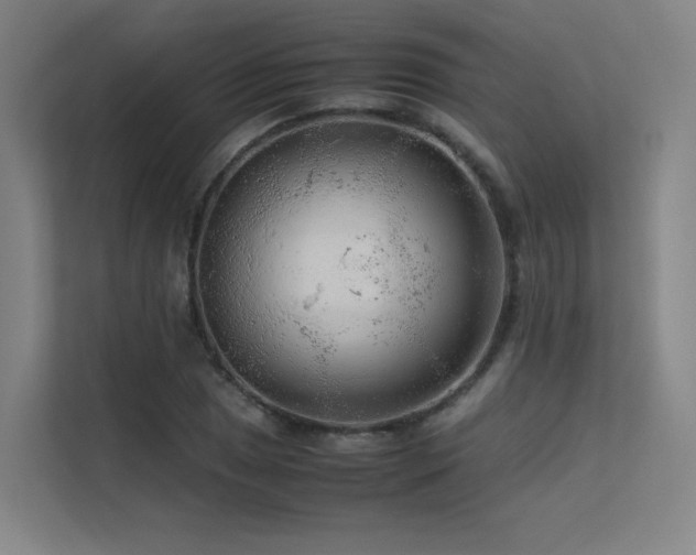 X0000113241025200909101404