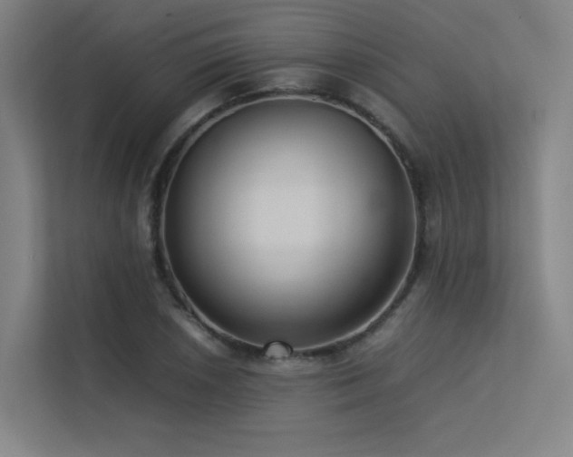 X0000113241026200909101404