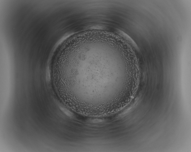 X0000113241027200909101404