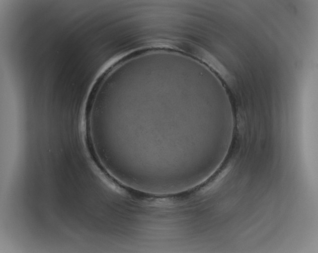 X0000113241028200909101404