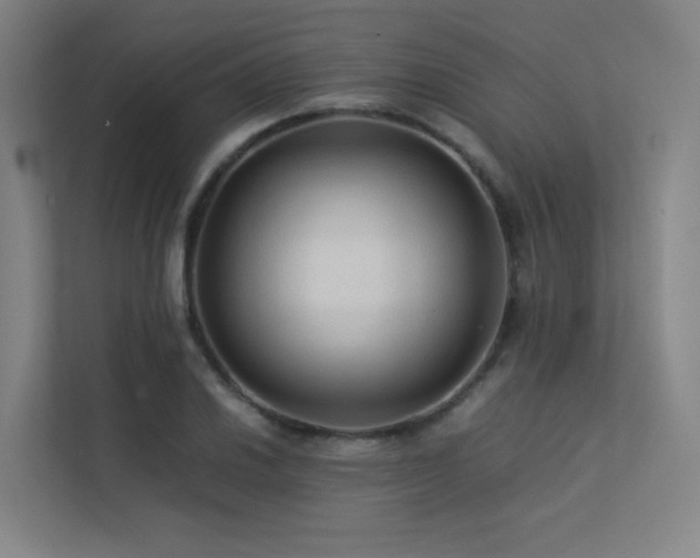 X0000113241030200909101404