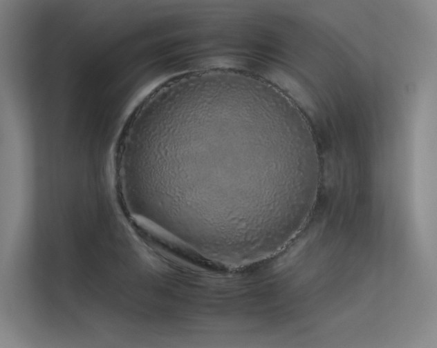 X0000113241031200909101404