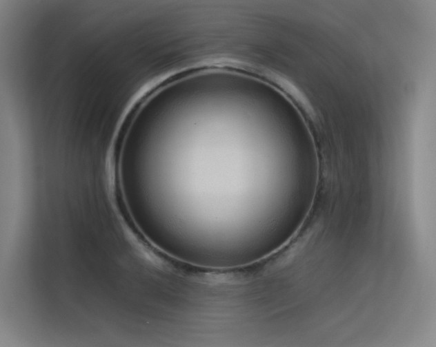 X0000113241032200909101404