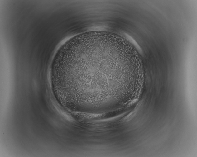 X0000113241035200909101404