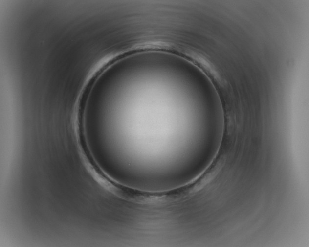 X0000113241038200909101404