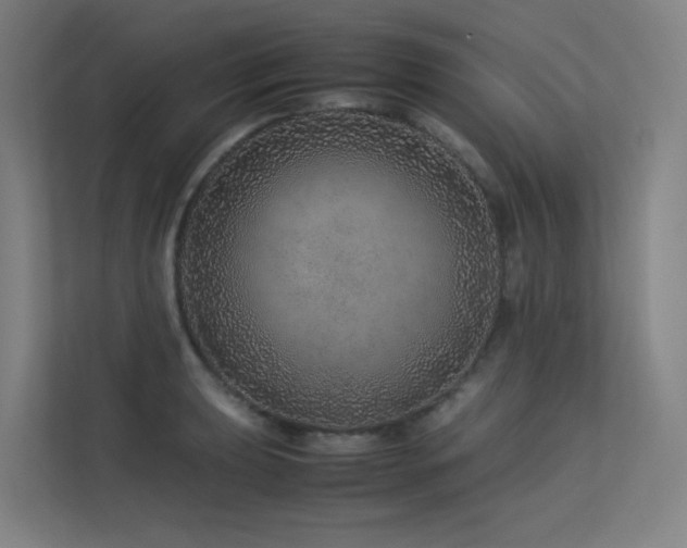 X0000113241039200909101404