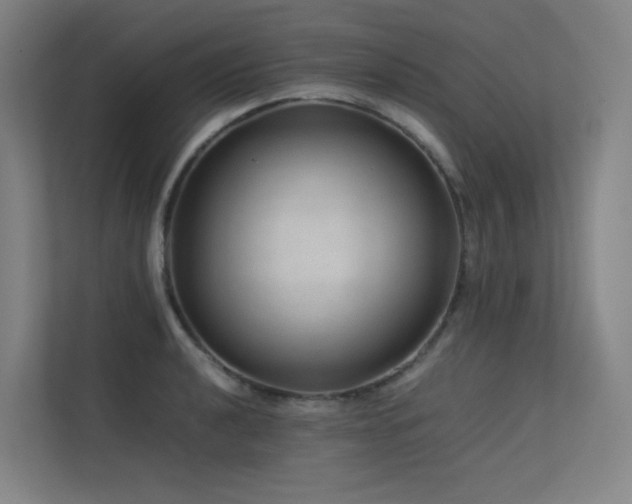 X0000113241040200909101404