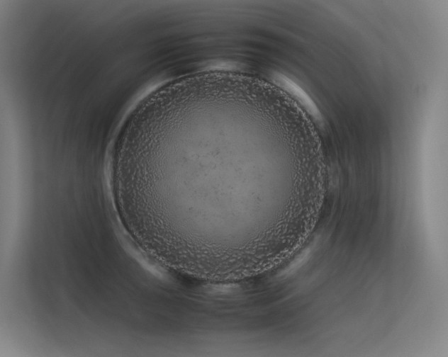 X0000113241043200909101404