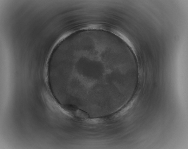 X0000113241045200909101404