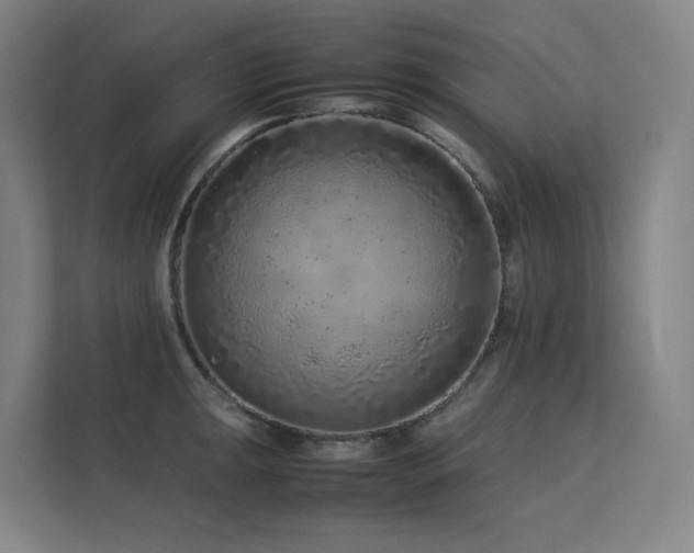 X0000113241047200909101404