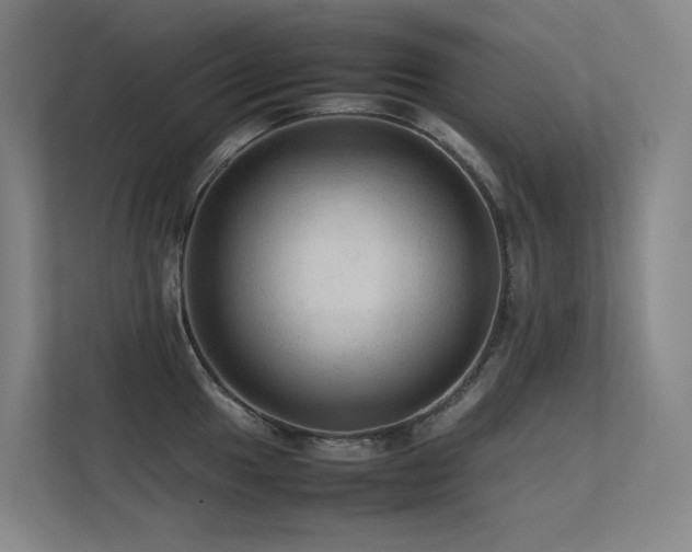 X0000113241049200909101404