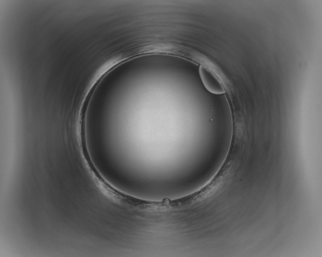 X0000113241050200909101404