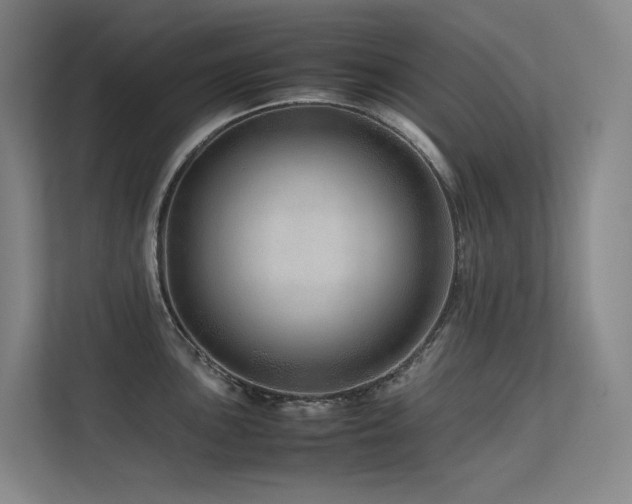 X0000113241051200909101404