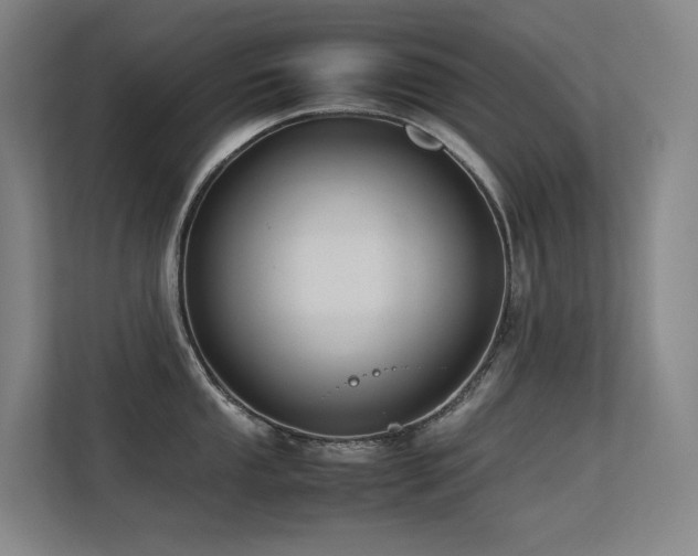 X0000113241053200909101404