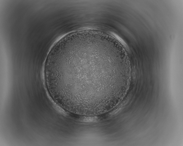 X0000113241055200909101404